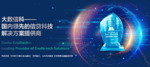 大数信科 数字信贷技术引领金融供给侧改革