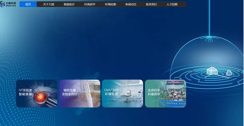 增收不增利的迷思 力盟科技上市后的跨境数字营销困局与优化之道