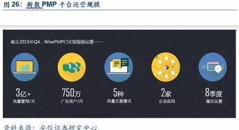 新数网络 DSP技术领航者，构建全球数字服务生态