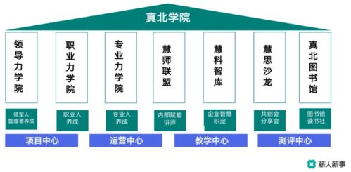 薪人薪事线上沙龙 以数字化创新技术为引擎，驱动学习型组织构建
